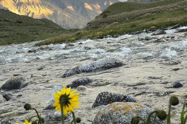 🌄 Deosai – Hunza – Skardu Road Travel | 8 Days