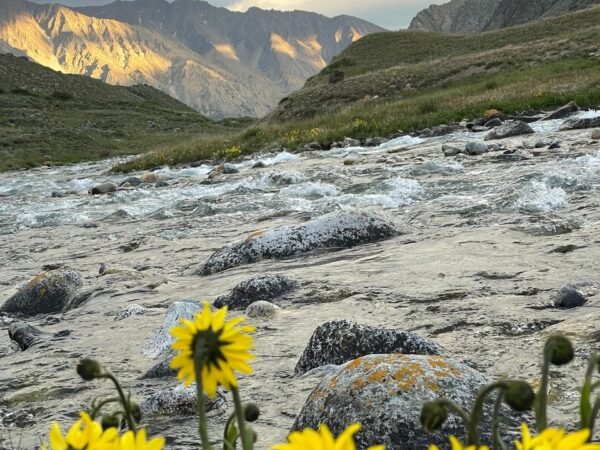 🌄 Deosai – Hunza – Skardu Road Travel | 8 Days