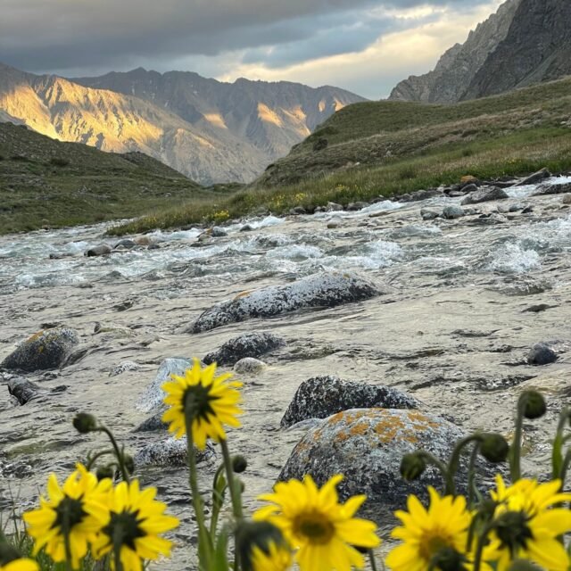 🌄 Deosai – Hunza – Skardu Road Travel | 8 Days